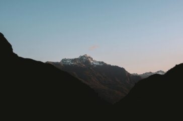 New Zealand Dairy Industry Faces Critical Crossroads as Climate Regulations and Global Competition Intensify — featured image