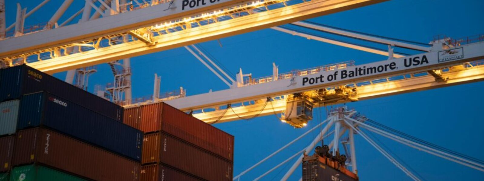 NZ Dairy Exports Face Supply Chain Disruption as Port Strikes Hit Key Trade Routes — featured image
