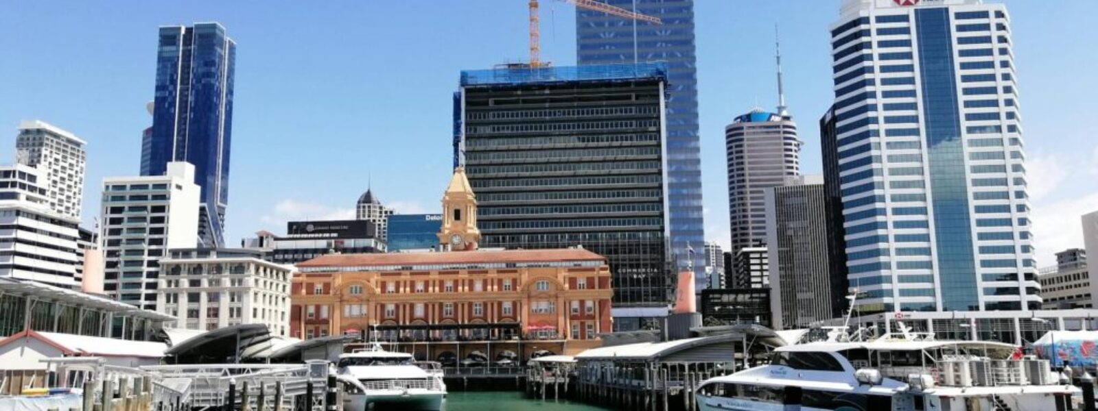 New Zealand's Economic Recovery Shows Mixed Signals as GDP Growth Slows in Latest Quarter — featured image