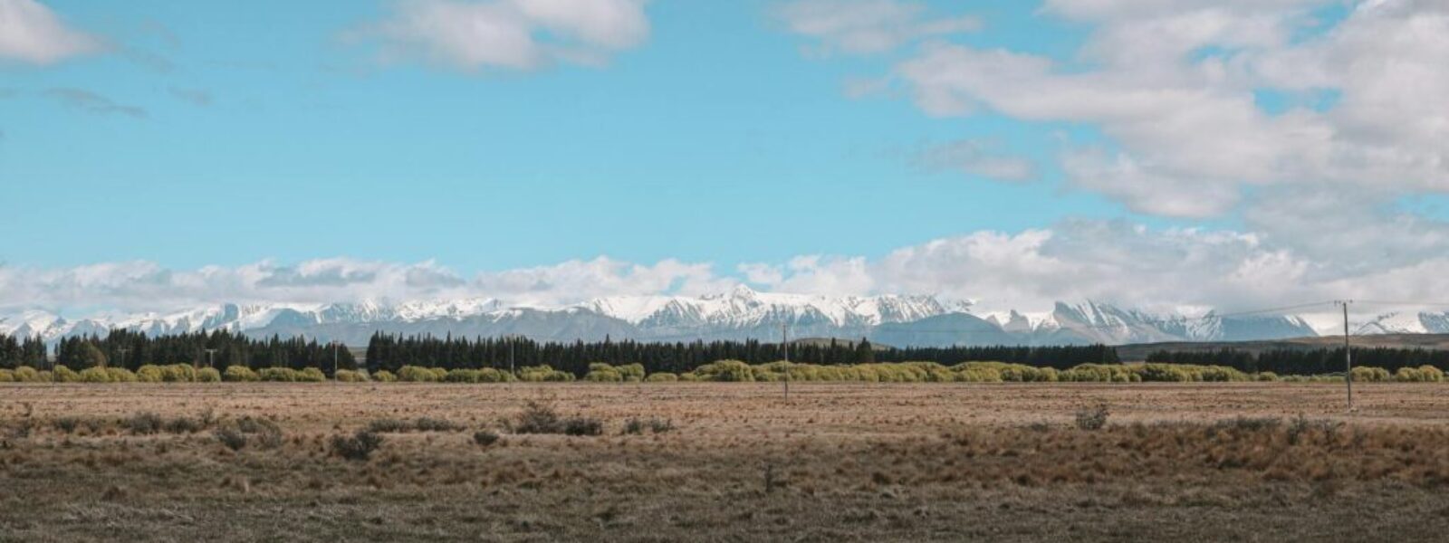 NZ Tech Sector Faces Critical Skills Shortage as Government Mulls Immigration Policy Changes — featured image