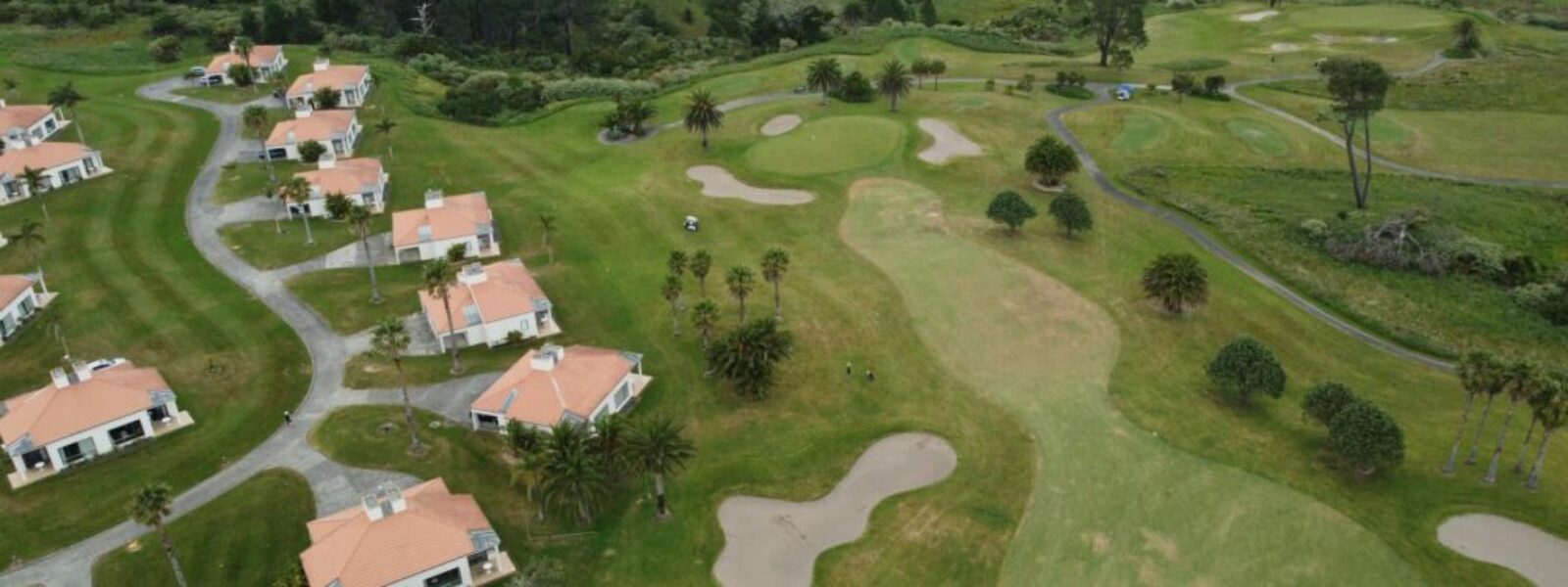 RBNZ Rate Cuts Offer Mixed Relief for Auckland's Struggling Property Market — featured image