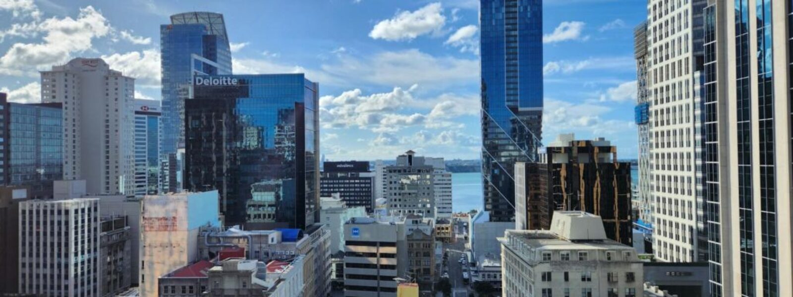 Auckland Real Estate Market Shows Signs of Recovery as Foreign Buyer Ban Faces Review — featured image