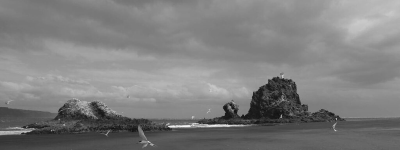 North Shore Real Estate Faces Supply Shortage as Development Constraints Drive Price Resilience — featured image