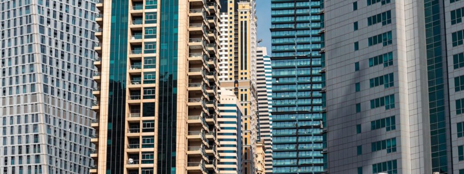 Dunedin's Real Estate Renaissance: How Auckland Price Gap Creates Business Opportunity Despite Rising Local Costs — featured image