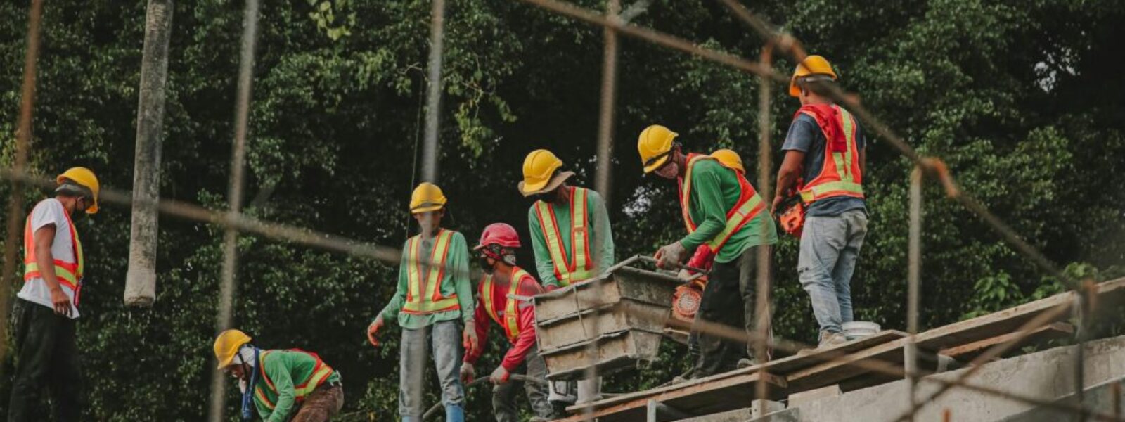 New Zealand Tradies Face Skills Shortage Crisis as Major Infrastructure Projects Launch — featured image