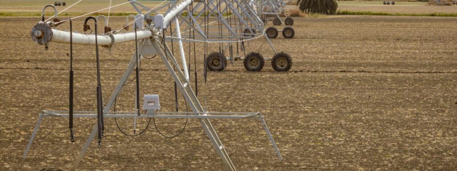 dairy water allocation — Dairy