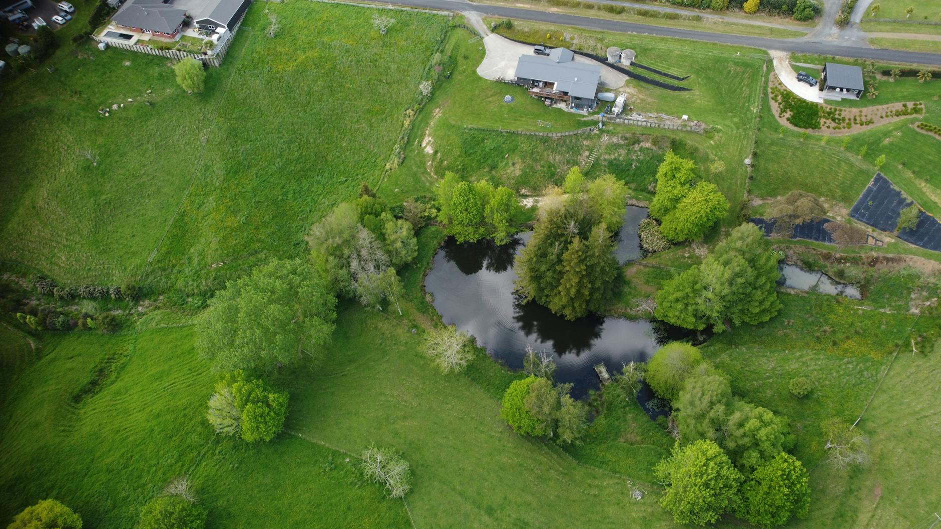 dairy water allocation New Zealand