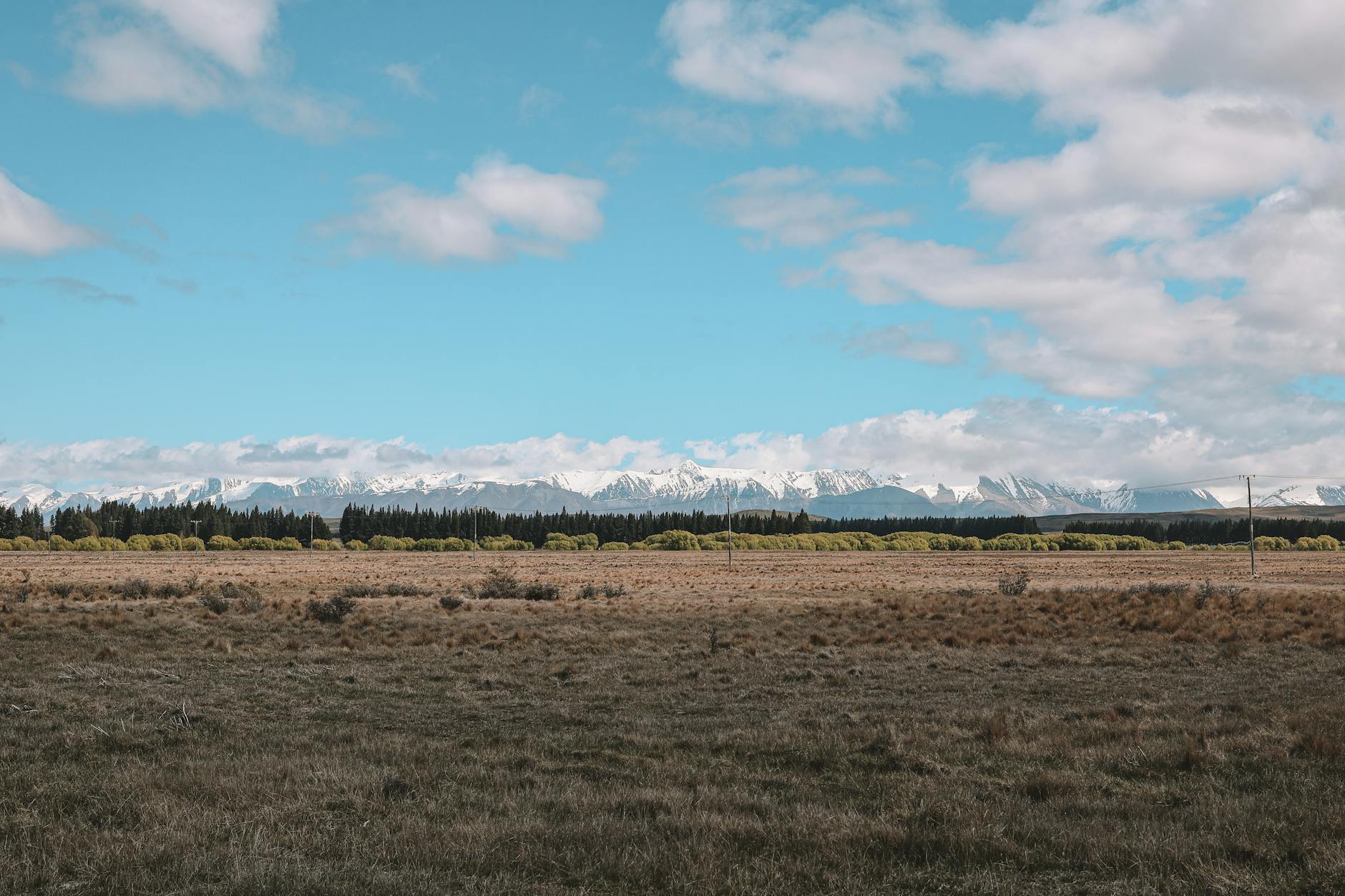 dairy export revenue New Zealand