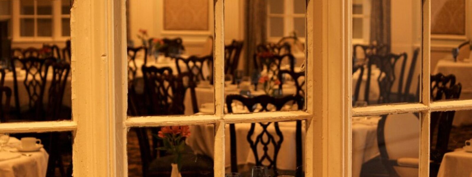 Auckland Hospitality Venues Face 15% Revenue Drop as Tourist Numbers Decline — featured image