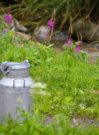 dairy industry restructuring — Dairy