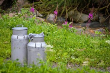 dairy industry restructuring — Dairy