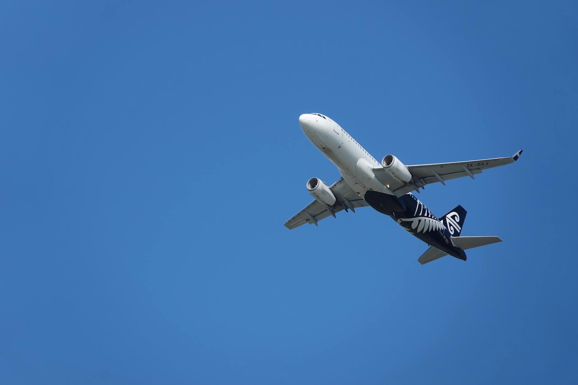 New Zealand exports diversification New Zealand