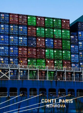 New Zealand exports China — Exports