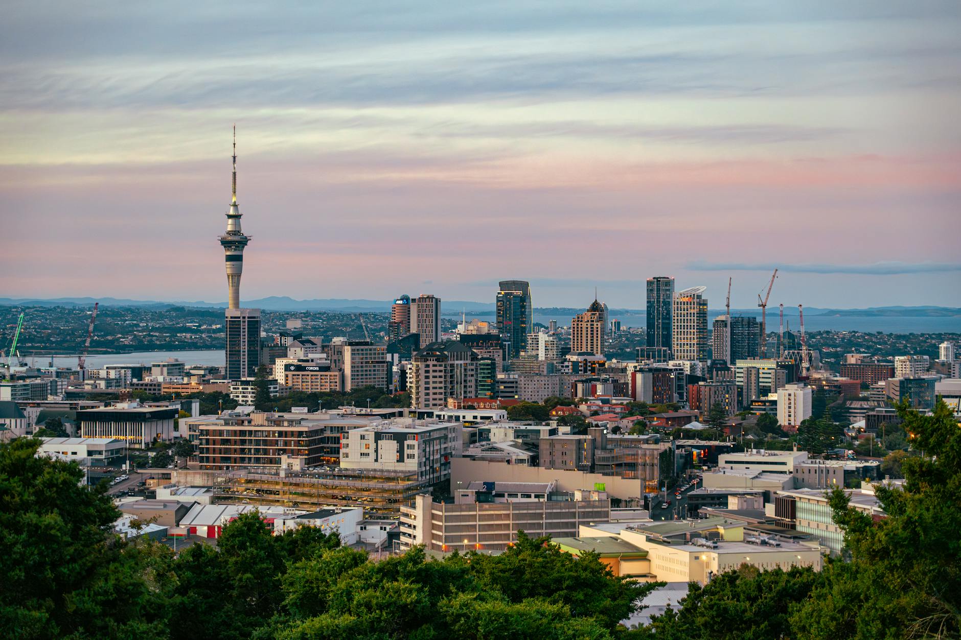 NZ tech stocks New Zealand