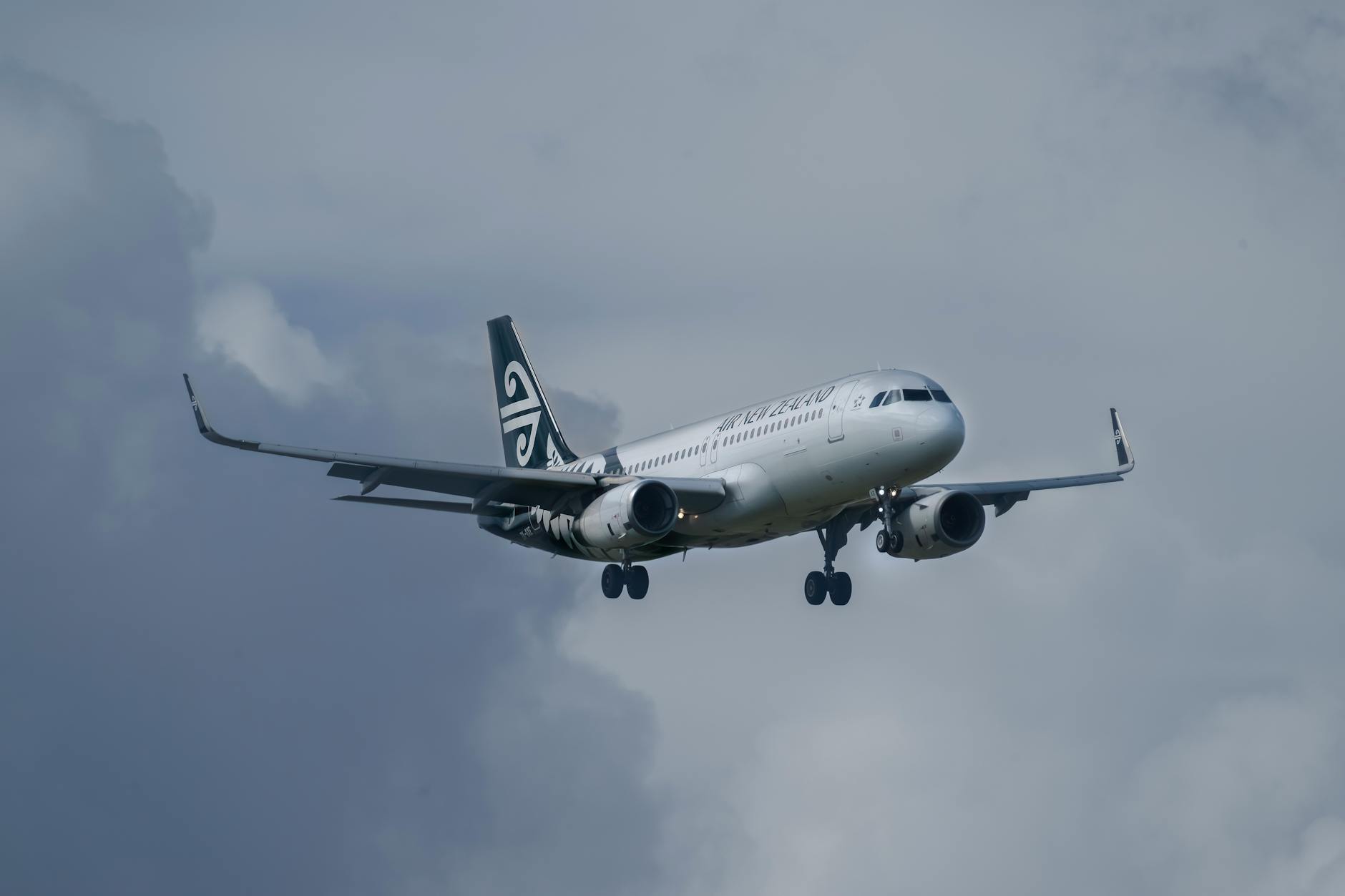 NZ stocks earnings New Zealand
