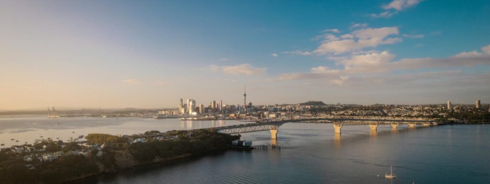 Auckland real estate market — Real Estate