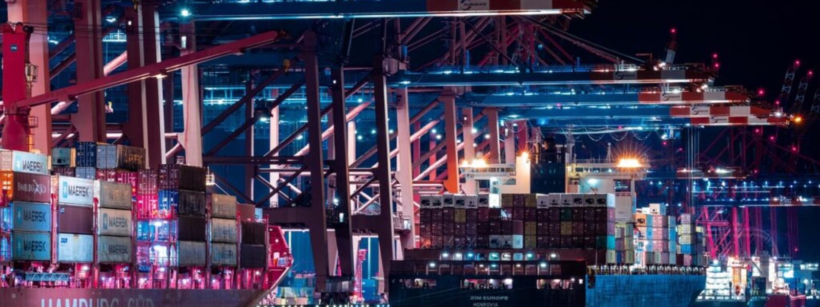 New Zealand exports diversification — Exports