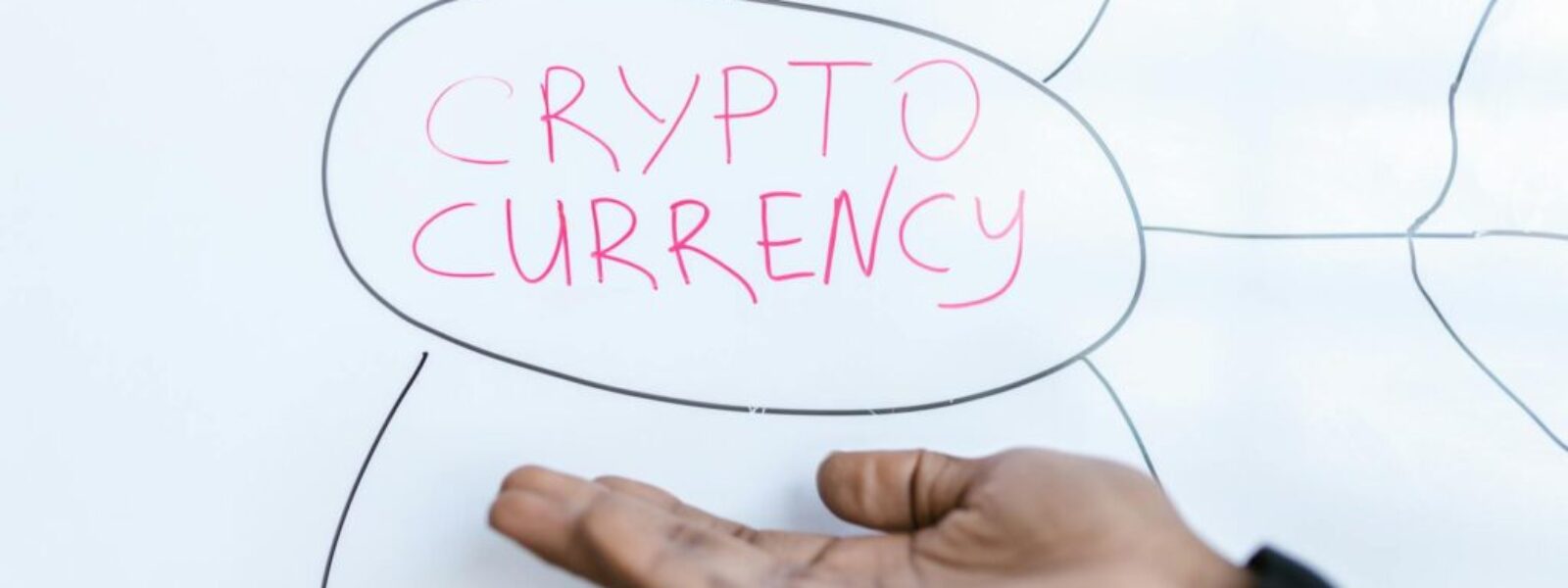 RBNZ digital currency — RBNZ