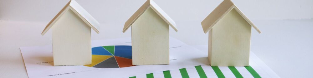 real estate market trends New Zealand