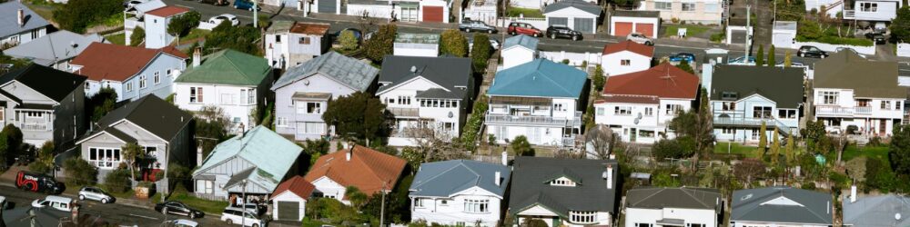 Wellington housing development rules New Zealand